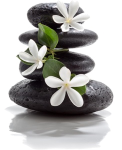 Zen Steine Wellness